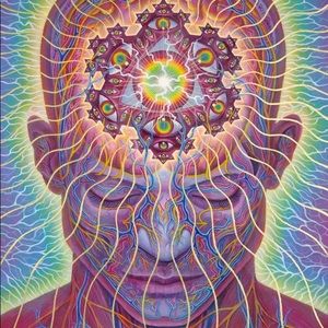 Meet your Posher, Sonny